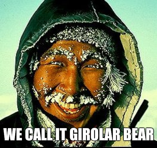 Cold Inuit | WE CALL IT GIROLAR BEAR | image tagged in cold inuit | made w/ Imgflip meme maker