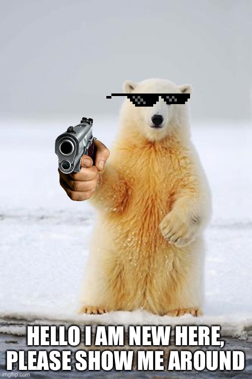 hello polar bear | HELLO I AM NEW HERE, PLEASE SHOW ME AROUND | image tagged in hello polar bear | made w/ Imgflip meme maker