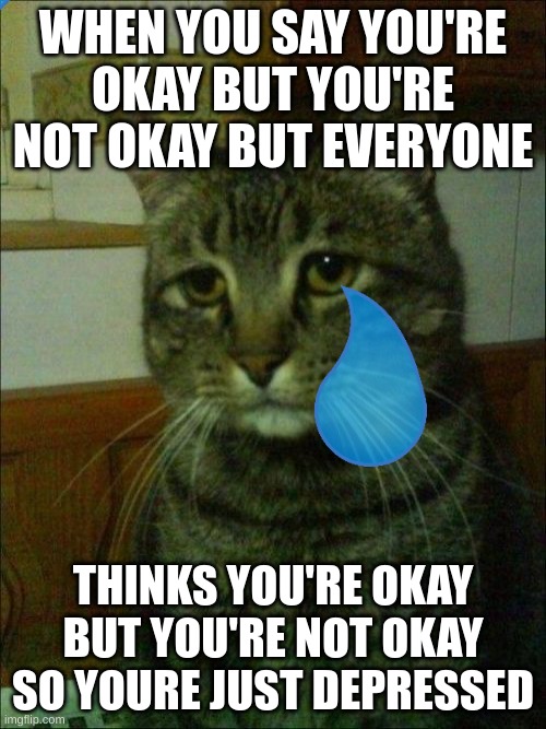yar |  WHEN YOU SAY YOU'RE OKAY BUT YOU'RE NOT OKAY BUT EVERYONE; THINKS YOU'RE OKAY BUT YOU'RE NOT OKAY SO YOURE JUST DEPRESSED | image tagged in memes,depressed cat | made w/ Imgflip meme maker
