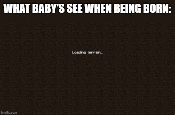 meme | WHAT BABY'S SEE WHEN BEING BORN: | image tagged in memes | made w/ Imgflip meme maker