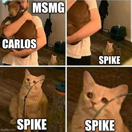 Sad Cat Holding Dog | MSMG; CARLOS; SPIKE; SPIKE; SPIKE | image tagged in sad cat holding dog | made w/ Imgflip meme maker