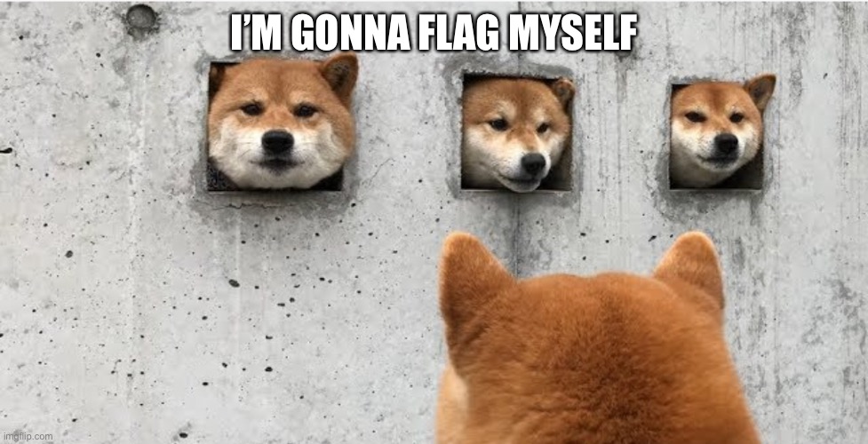 The doge council | I’M GONNA FLAG MYSELF | image tagged in the doge council | made w/ Imgflip meme maker