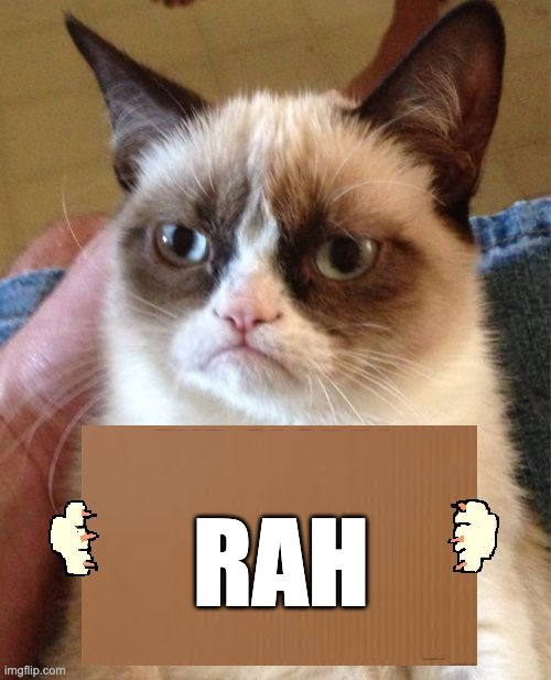 dAy tHirTeEn | RAH | image tagged in grumpy cat cardboard sign | made w/ Imgflip meme maker