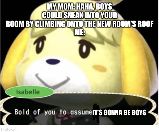 Actually, I’m ace, so bold of you to assume it’s gonna be anybody. | MY MOM: HAHA, BOYS COULD SNEAK INTO YOUR ROOM BY CLIMBING ONTO THE NEW ROOM’S ROOF
ME:; IT’S GONNA BE BOYS | image tagged in bold of you to assume | made w/ Imgflip meme maker