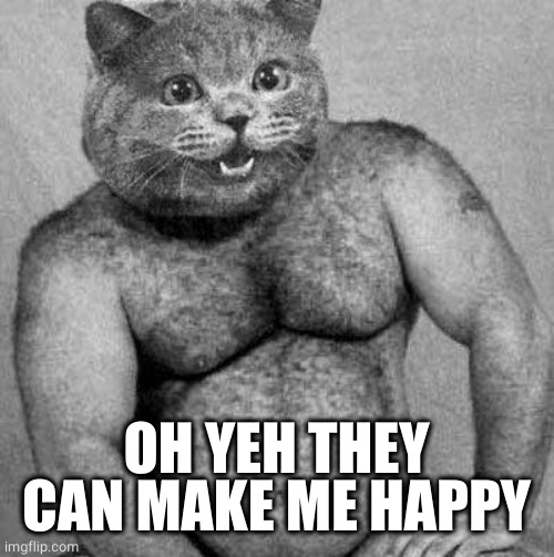 sexy cat | OH YEH THEY CAN MAKE ME HAPPY | image tagged in sexy cat | made w/ Imgflip meme maker