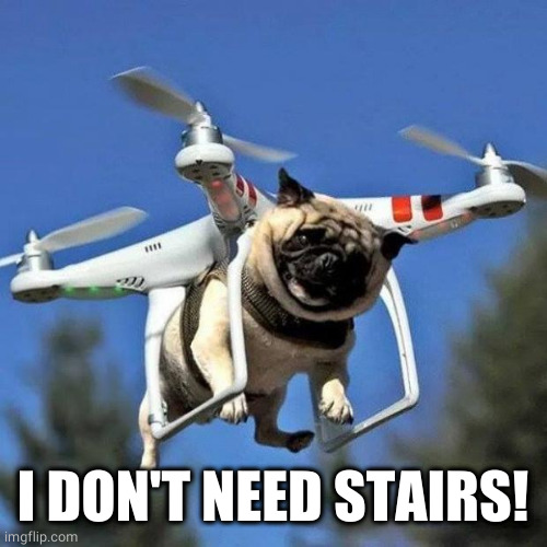 Flying Pug | I DON'T NEED STAIRS! | image tagged in flying pug | made w/ Imgflip meme maker