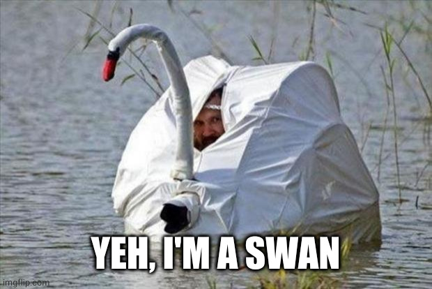 Goose disguise | YEH, I'M A SWAN | image tagged in goose disguise | made w/ Imgflip meme maker