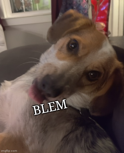 BLEM | made w/ Imgflip meme maker