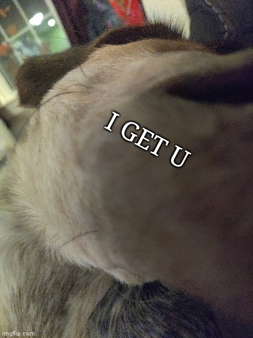 I GET U | made w/ Imgflip meme maker