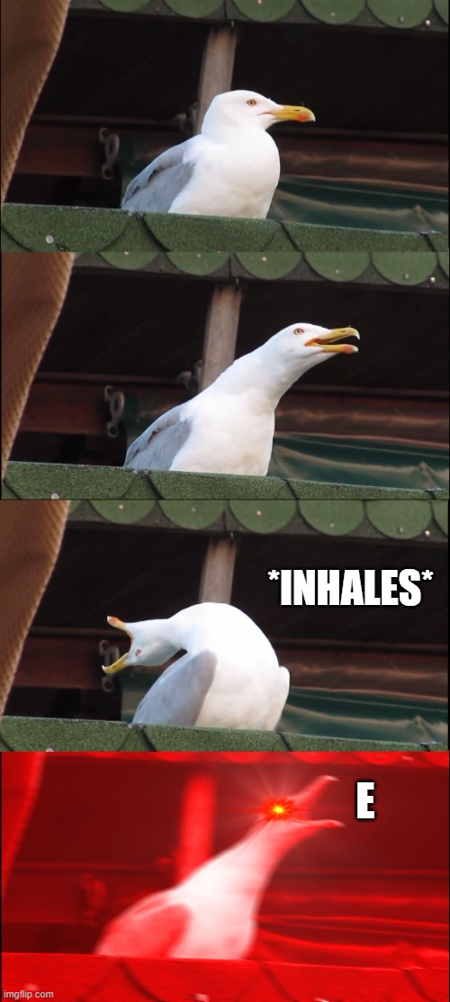 No one is gonna think this is funny | *INHALES*; E | image tagged in memes,inhaling seagull | made w/ Imgflip meme maker