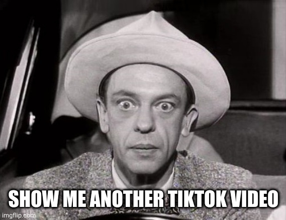 Don Knotts Wide-Eyed Stare | SHOW ME ANOTHER TIKTOK VIDEO | image tagged in don knotts wide-eyed stare | made w/ Imgflip meme maker