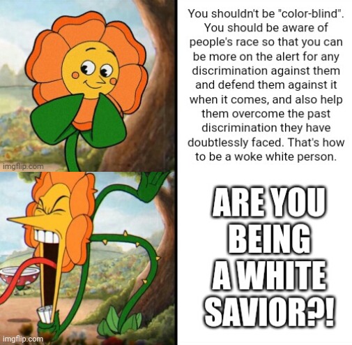 Angry leftist | image tagged in race blindness,cuphead flower | made w/ Imgflip meme maker