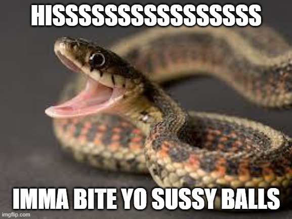 sussy ball | HISSSSSSSSSSSSSSSS; IMMA BITE YO SUSSY BALLS | image tagged in warning snake | made w/ Imgflip meme maker