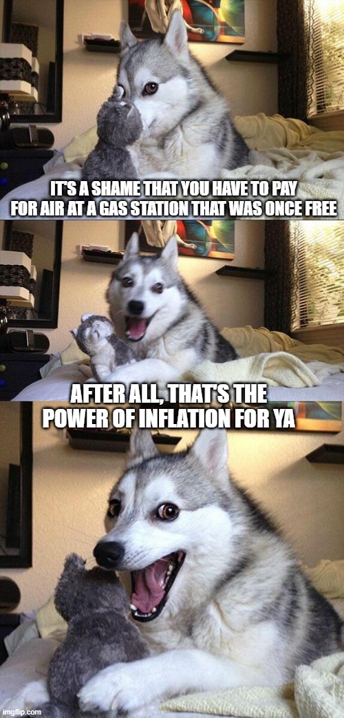 The Cost of Air | IT'S A SHAME THAT YOU HAVE TO PAY FOR AIR AT A GAS STATION THAT WAS ONCE FREE; AFTER ALL, THAT'S THE POWER OF INFLATION FOR YA | image tagged in memes,bad pun dog | made w/ Imgflip meme maker