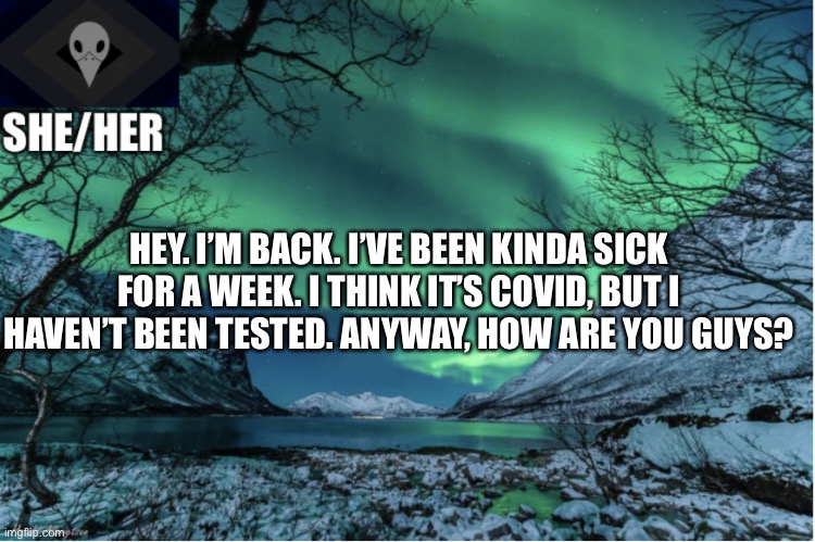 Northern Lights Termcollector Template | HEY. I’M BACK. I’VE BEEN KINDA SICK FOR A WEEK. I THINK IT’S COVID, BUT I HAVEN’T BEEN TESTED. ANYWAY, HOW ARE YOU GUYS? | image tagged in northern lights termcollector template | made w/ Imgflip meme maker