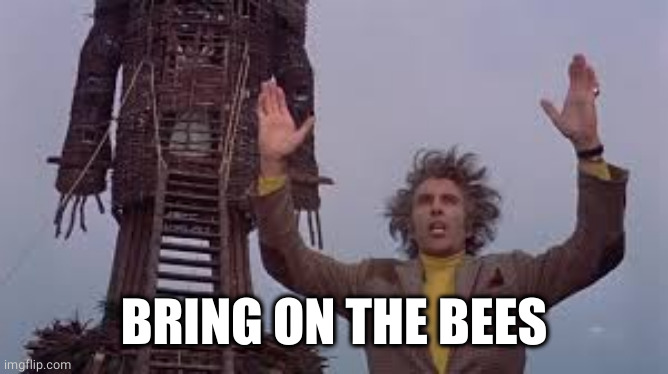 wickerman | BRING ON THE BEES | image tagged in wickerman | made w/ Imgflip meme maker