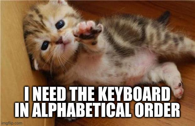 Help Me Kitten | I NEED THE KEYBOARD IN ALPHABETICAL ORDER | image tagged in help me kitten | made w/ Imgflip meme maker