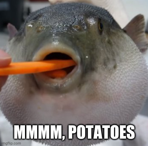 pufferfish eating carrot | MMMM, POTATOES | image tagged in pufferfish eating carrot | made w/ Imgflip meme maker