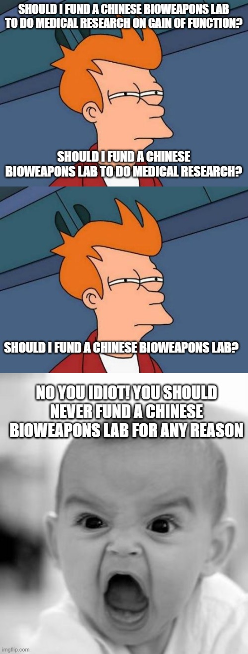 Is the logic too convoluted to follow? You don't fund communist bioweapons labs no matter what. | SHOULD I FUND A CHINESE BIOWEAPONS LAB TO DO MEDICAL RESEARCH ON GAIN OF FUNCTION? SHOULD I FUND A CHINESE BIOWEAPONS LAB TO DO MEDICAL RESEARCH? SHOULD I FUND A CHINESE BIOWEAPONS LAB? NO YOU IDIOT! YOU SHOULD NEVER FUND A CHINESE BIOWEAPONS LAB FOR ANY REASON | image tagged in futurama fry,angry baby,politics,fauci,stupid liberals,kung flu | made w/ Imgflip meme maker