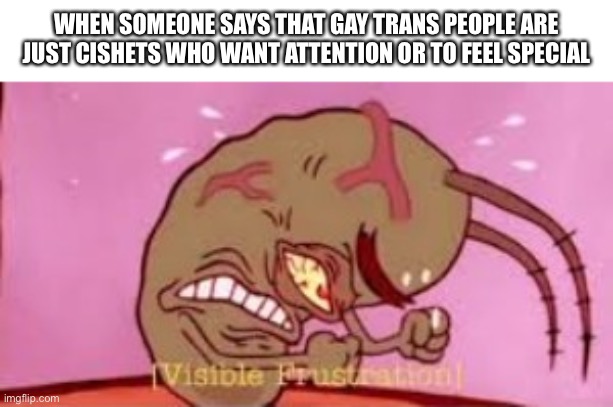 Visible Frustration | WHEN SOMEONE SAYS THAT GAY TRANS PEOPLE ARE JUST CISHETS WHO WANT ATTENTION OR TO FEEL SPECIAL | image tagged in visible frustration | made w/ Imgflip meme maker