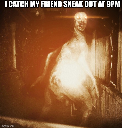 Scp | I CATCH MY FRIEND SNEAK OUT AT 9PM | image tagged in scp | made w/ Imgflip meme maker
