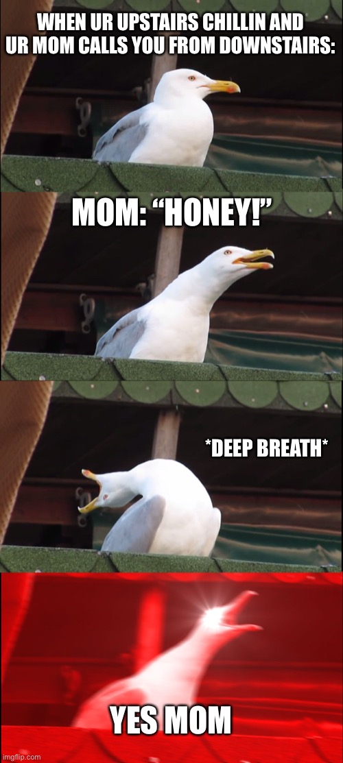relatable? |  WHEN UR UPSTAIRS CHILLIN AND UR MOM CALLS YOU FROM DOWNSTAIRS:; MOM: “HONEY!”; *DEEP BREATH*; YES MOM | image tagged in memes,inhaling seagull,mom,yelling,seagull,parents | made w/ Imgflip meme maker