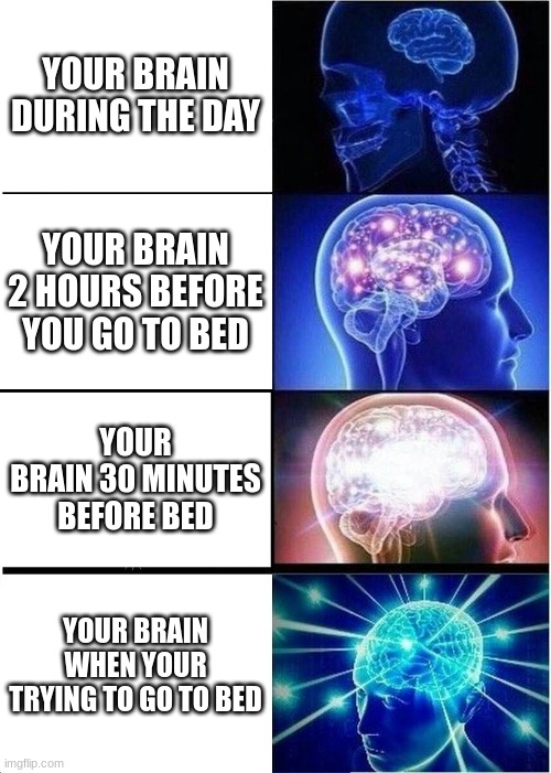 Expanding Brain Meme | YOUR BRAIN DURING THE DAY; YOUR BRAIN 2 HOURS BEFORE YOU GO TO BED; YOUR BRAIN 30 MINUTES BEFORE BED; YOUR BRAIN WHEN YOUR TRYING TO GO TO BED | image tagged in memes,expanding brain | made w/ Imgflip meme maker