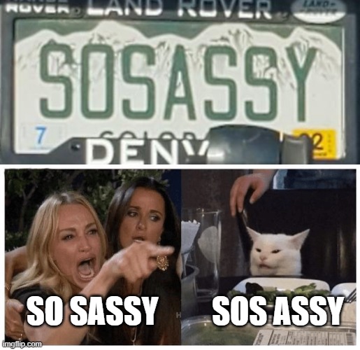 Saw this at Walmart and thought of this meme | SOS ASSY; SO SASSY | image tagged in woman yelling at cat,license plate,misreading | made w/ Imgflip meme maker