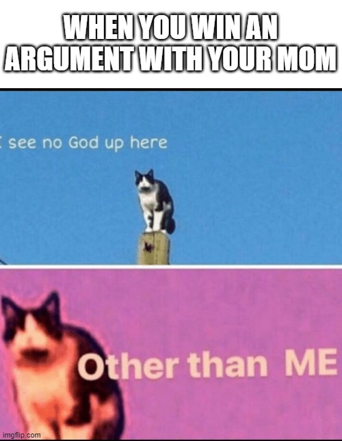 I see no god up here other than me | WHEN YOU WIN AN ARGUMENT WITH YOUR MOM | image tagged in i see no god up here other than me | made w/ Imgflip meme maker