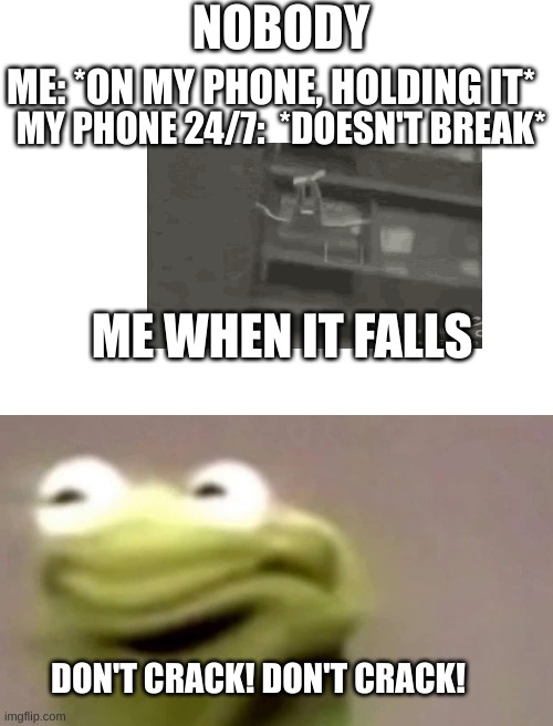i always drop my phone but it never cracked. but only cracked a tiny bit (idk if ya'll relate to this-) | NOBODY; ME: *ON MY PHONE, HOLDING IT*; MY PHONE 24/7:  *DOESN'T BREAK*; ME WHEN IT FALLS; DON'T CRACK! DON'T CRACK! | image tagged in blank white template,relatable | made w/ Imgflip meme maker