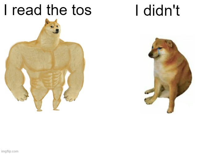 Buff Doge vs. Cheems Meme | I read the tos I didn't | image tagged in memes,buff doge vs cheems | made w/ Imgflip meme maker