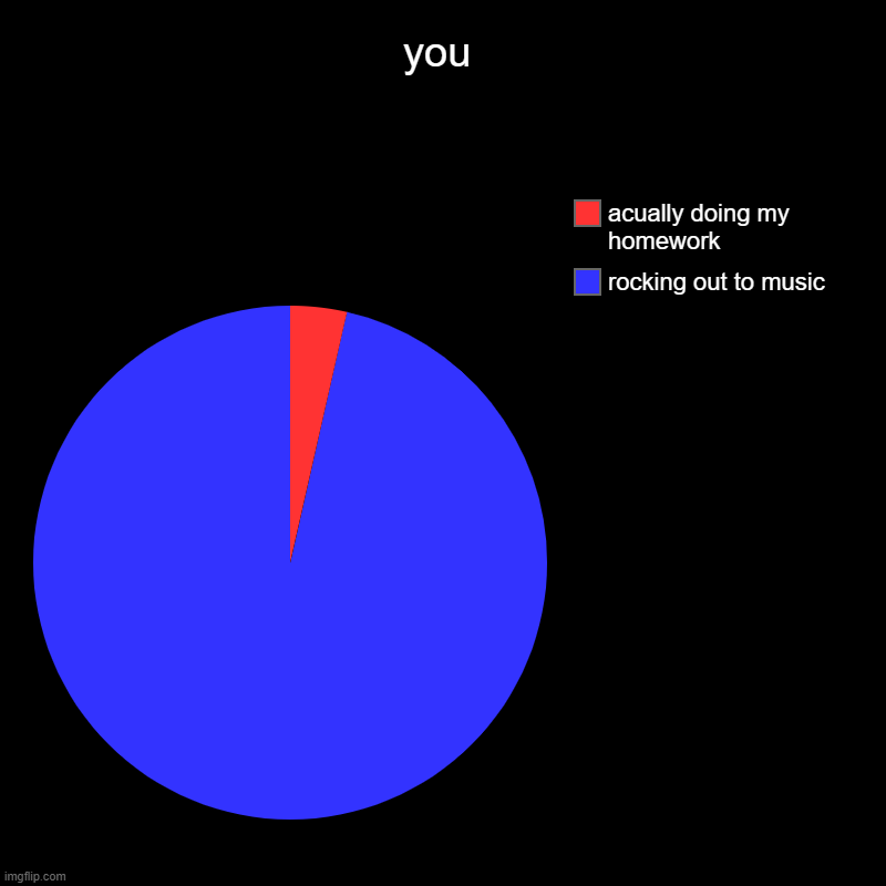 you | you | rocking out to music, acually doing my homework | image tagged in charts,pie charts | made w/ Imgflip chart maker