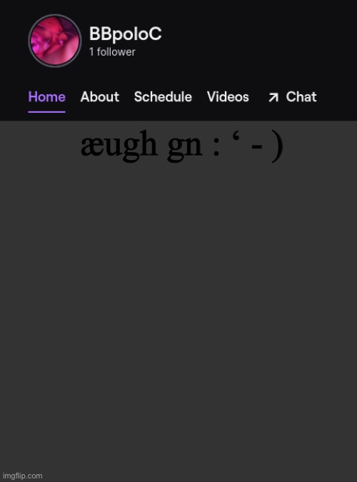EEEEEEEEE to everyone else have a great day or night! :D | æugh gn : ‘ - ) | image tagged in twitch template | made w/ Imgflip meme maker