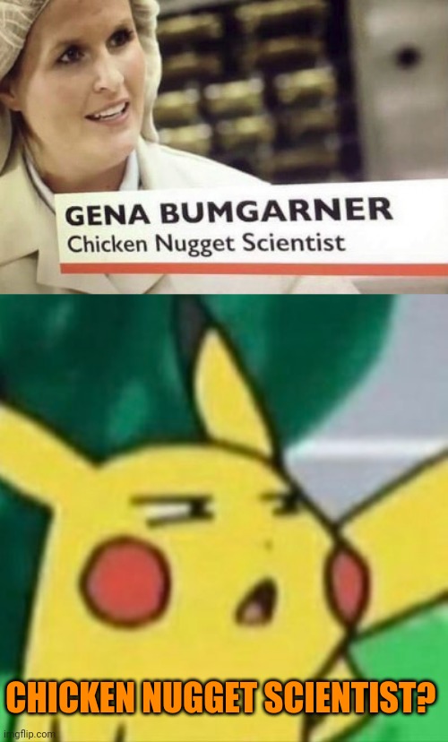 Interesting. Wish I was a chicken nugget scientist :( | CHICKEN NUGGET SCIENTIST? | image tagged in say what now,memes,funny | made w/ Imgflip meme maker