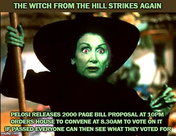 Pelosi Tactics | image tagged in pelosi,house,bill | made w/ Imgflip meme maker