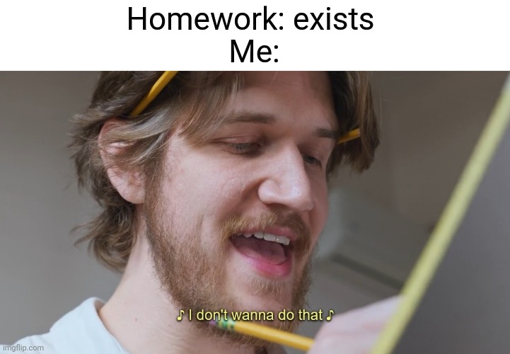 We need more Bo Burnham memes lol | Homework: exists 
Me: | image tagged in i don't wanna do that,homework,memes,funny | made w/ Imgflip meme maker