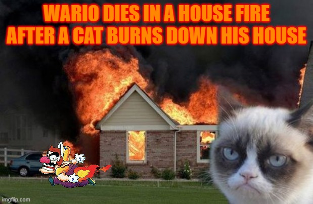 wario dies in a house fire after a cat burns down his house | WARIO DIES IN A HOUSE FIRE AFTER A CAT BURNS DOWN HIS HOUSE | image tagged in memes,burn kitty,grumpy cat,wario,wario dies,fire | made w/ Imgflip meme maker