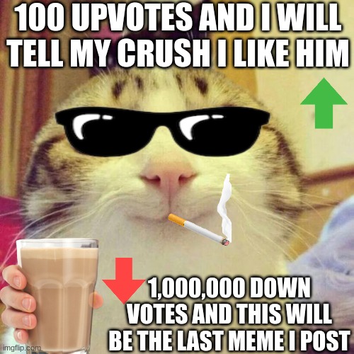 Smiling Cat | 100 UPVOTES AND I WILL TELL MY CRUSH I LIKE HIM; 1,000,000 DOWN VOTES AND THIS WILL BE THE LAST MEME I POST | image tagged in memes,smiling cat | made w/ Imgflip meme maker