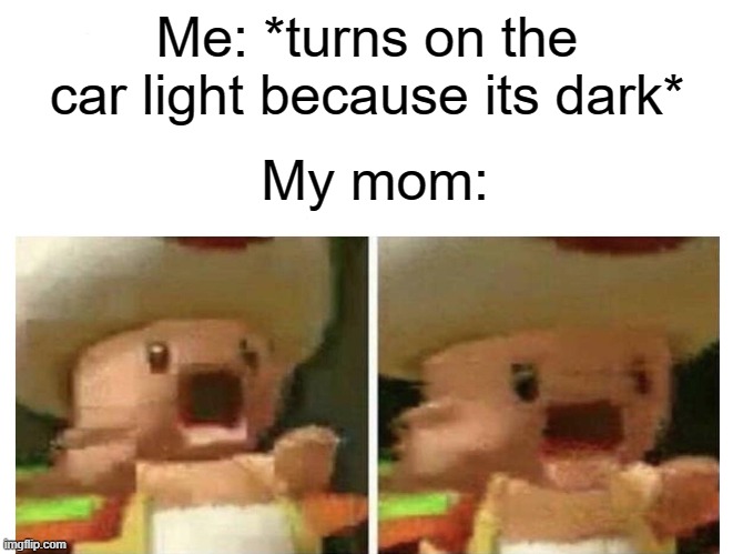Me: *turns on the car light because its dark*; My mom: | image tagged in memes,funny,not that funny lmao,gifs,not really a gif,toad | made w/ Imgflip meme maker