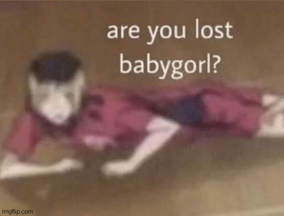 are you lost babygorl | image tagged in are you lost babygorl | made w/ Imgflip meme maker