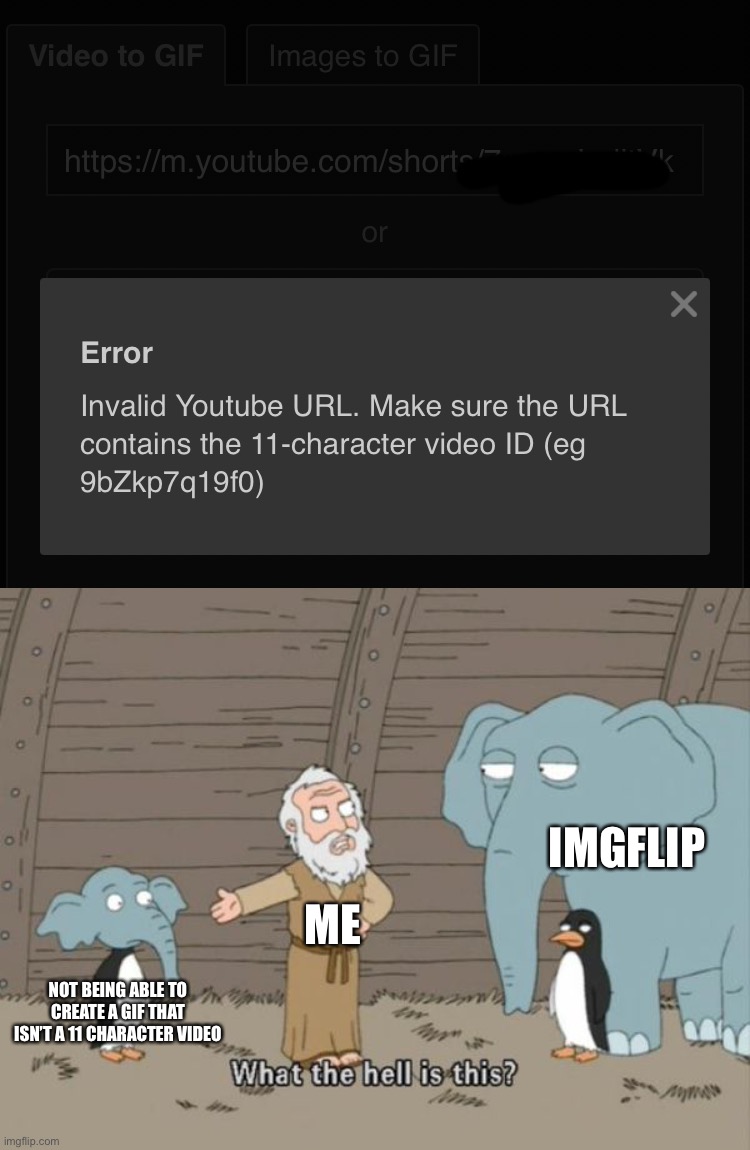 Honestly I would like to know what is this? | IMGFLIP; ME; NOT BEING ABLE TO CREATE A GIF THAT ISN’T A 11 CHARACTER VIDEO | image tagged in what the hell is this | made w/ Imgflip meme maker
