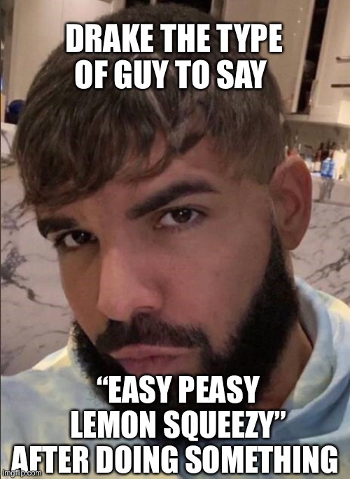 Drake the type of guy..l | DRAKE THE TYPE OF GUY TO SAY; “EASY PEASY LEMON SQUEEZY” AFTER DOING SOMETHING | image tagged in drake,funny | made w/ Imgflip meme maker