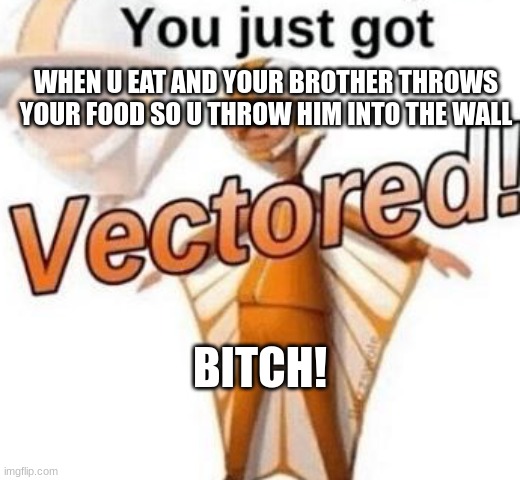 Read 2 first | WHEN U EAT AND YOUR BROTHER THROWS YOUR FOOD SO U THROW HIM INTO THE WALL; BITCH! | image tagged in you just got vectored | made w/ Imgflip meme maker