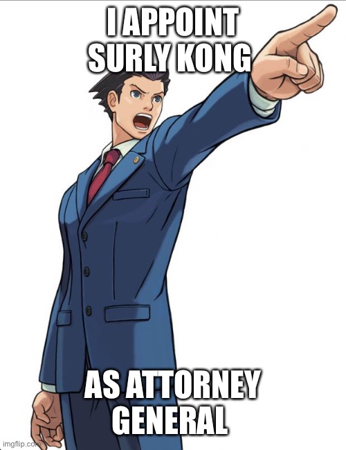 Ace Attorney | I APPOINT SURLY KONG; AS ATTORNEY GENERAL | image tagged in ace attorney | made w/ Imgflip meme maker