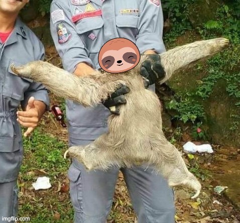 Sloth sloth | image tagged in sloth sloth | made w/ Imgflip meme maker