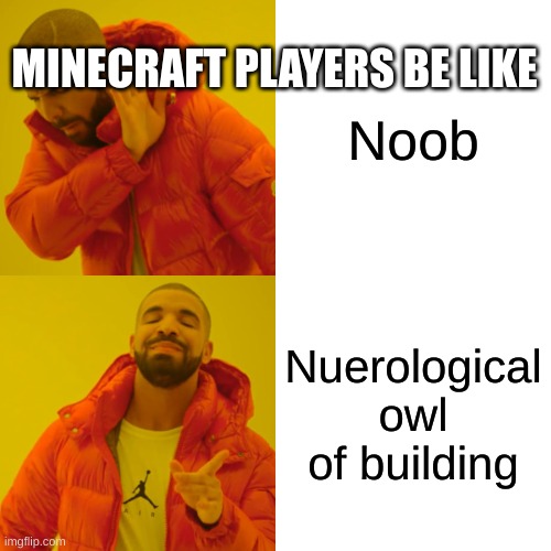 Drake Hotline Bling | MINECRAFT PLAYERS BE LIKE; Noob; Nuerological owl of building | image tagged in memes,drake hotline bling | made w/ Imgflip meme maker