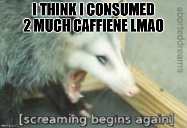 Screaming begins again | I THINK I CONSUMED 2 MUCH CAFFIENE LMAO | image tagged in screaming begins again | made w/ Imgflip meme maker