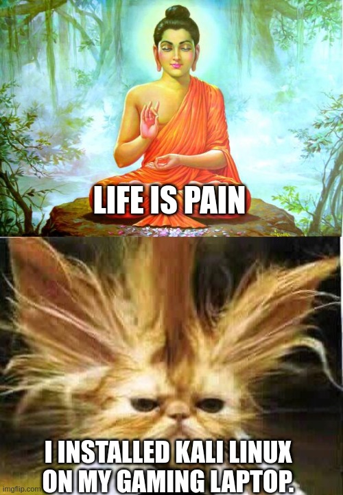 Wisdom For Linux Seekers | LIFE IS PAIN; I INSTALLED KALI LINUX
ON MY GAMING LAPTOP. | image tagged in bad luck buddha,bad hair day | made w/ Imgflip meme maker