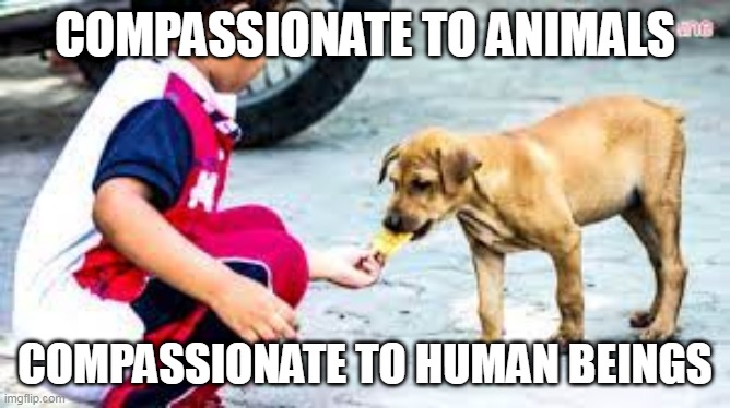 Be Kind | COMPASSIONATE TO ANIMALS; COMPASSIONATE TO HUMAN BEINGS | image tagged in memes | made w/ Imgflip meme maker