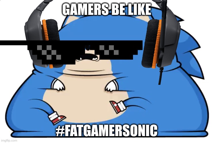 Fat gamer sonic | GAMERS BE LIKE; #FATGAMERSONIC | image tagged in sonic the hedgehog | made w/ Imgflip meme maker